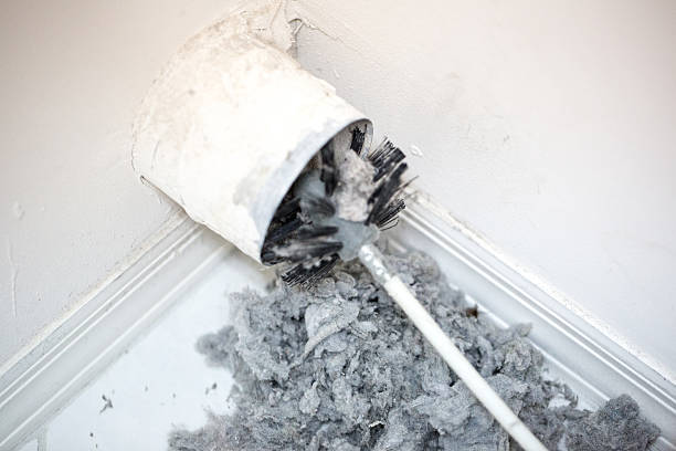 Best Ventilation Cleaning Services  in Ruhenstroth, NV